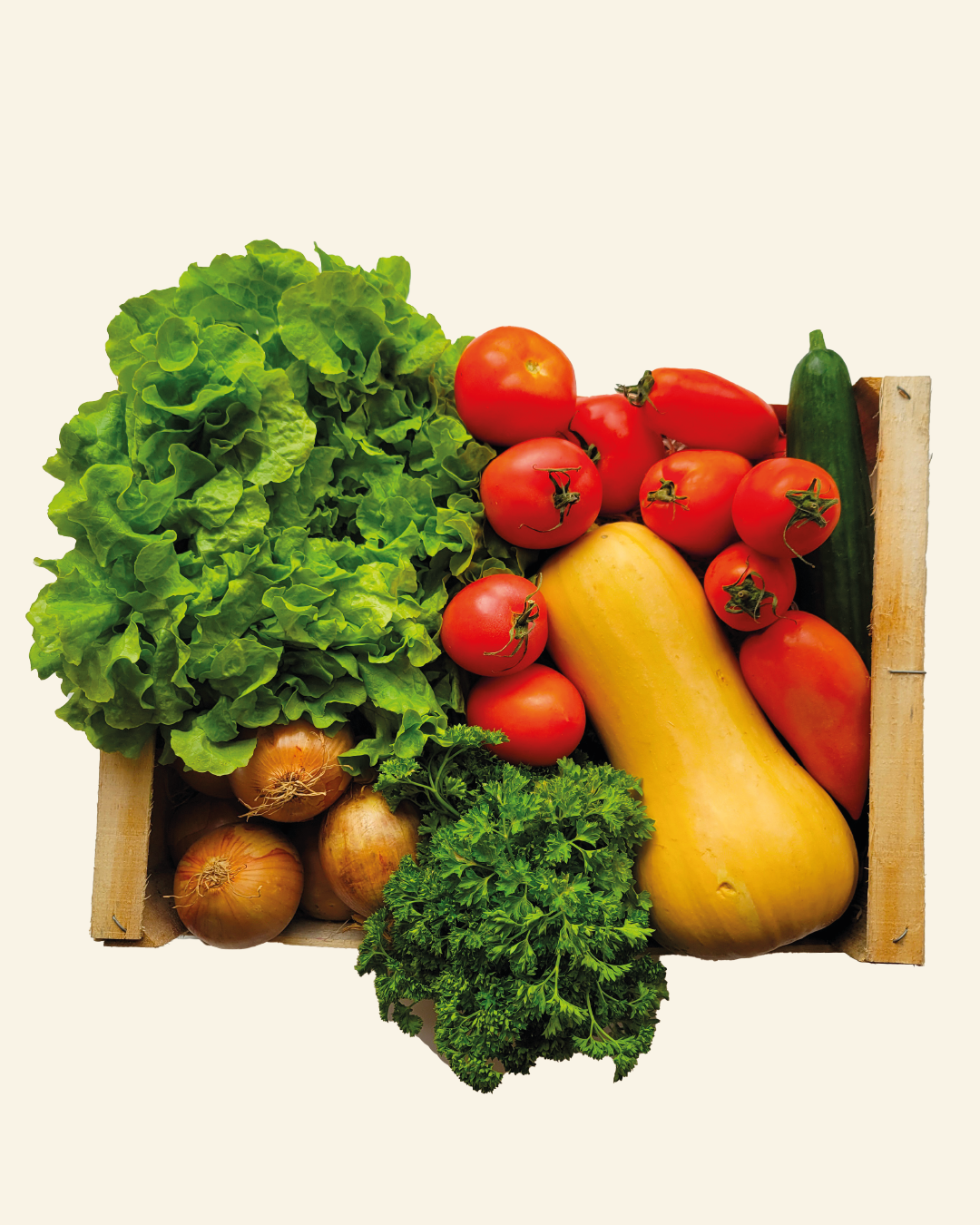 BOX DE LEGUMES
